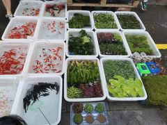 -青石桥花鸟鱼虫市场(叠翠城店)