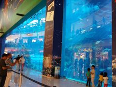 -迪拜水族馆及水下动物园