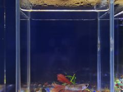 -欢乐海岸海洋奇梦馆