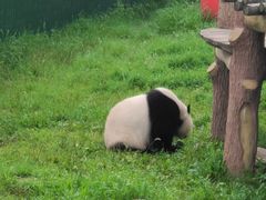 -沈阳森林动物园