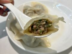 茴香猪肉水饺-枫林饺子