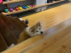 -YCHL Studios健身工作室(市二宫店)