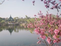 -无锡蠡湖国家湿地公园-蠡园