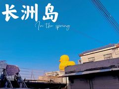 -长洲岛