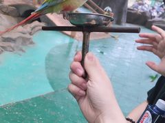 -西霞口神雕山野生动物世界