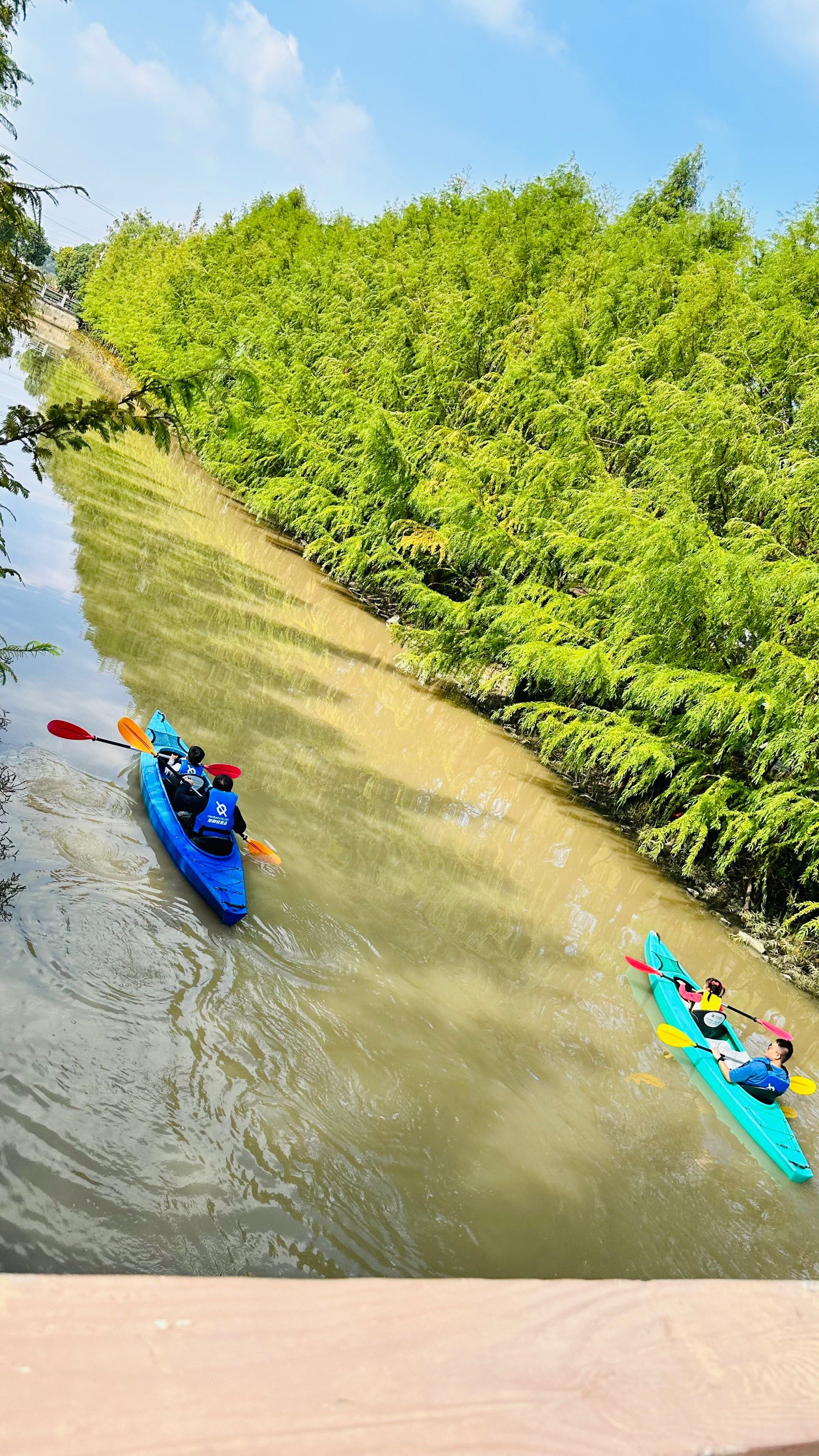 海上木板的漂流记