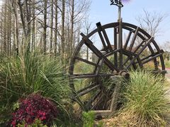 -上海长兴岛郊野公园