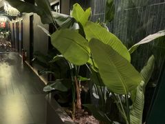 -涟LIAN·泰式按摩·MASSAGE·SPA(华强北店)