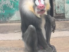 -昆明动物园