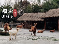 -金沙遗址博物馆