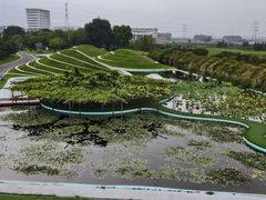 -南通洲际绿博园