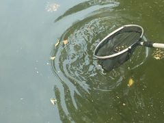 -人民公园-相亲角