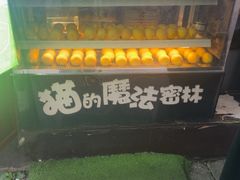 -猫的魔法密林(衣裳街店)