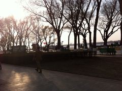 iphone_upload_pic-斯大林公园