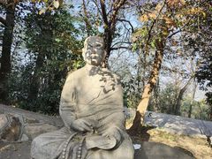 -紫金山山顶公园