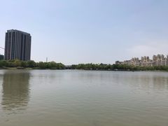 -南翔镇银翔湖公园