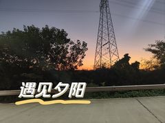 -长洲岛都市农业公园