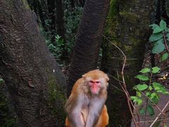 -黔灵山公园-南门售票处