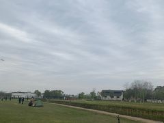-杭州湾海上花田景区