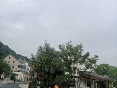 -湘湖金融镇