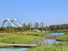 -春花秋色城市公园