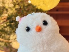 -Wagas沃歌斯(正大乐城店)