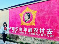 -特克斯八卦城