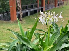 -广州神农草堂中医药博物馆