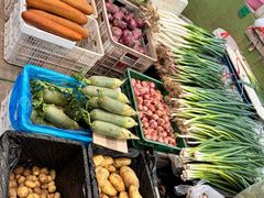 -恒达综合农贸市场(黄山路店)