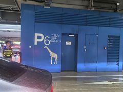 -虹桥综合交通枢纽-P6停车库