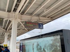 -婺源站