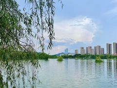 -洋湖国家湿地公园