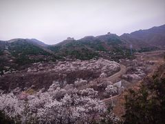 -居庸关长城