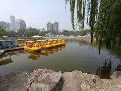-团结湖公园