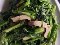 -阿巧茶庄