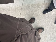 -福奈特洗衣洗鞋(广泉路店)