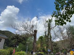 -燕塞湖鸟语林景区