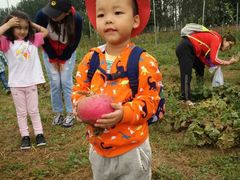 -河北村民俗体验园