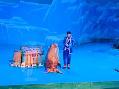 -大连圣亚海洋世界