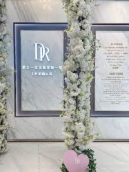 -DR钻戒(成都银泰城店)
