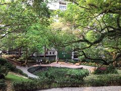 -香港大学