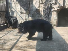 -南昌动物园