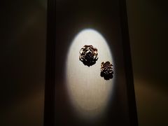 -Dragonfly悠庭·按摩Spa(浦东嘉里城店)