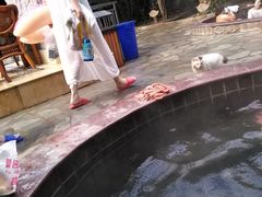 -龙达温泉生态城