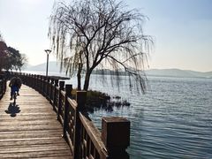 -长广溪湿地公园