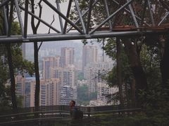 -福道