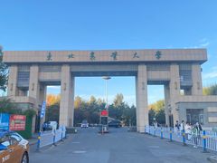 -东北农业大学饺子园