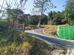 -黄埔油麻山森林公园