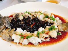 龙趸鱼-粤界(望京金辉店)