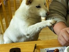 -柴の食堂·日式家庭料理·熊之肆(大学路店)
